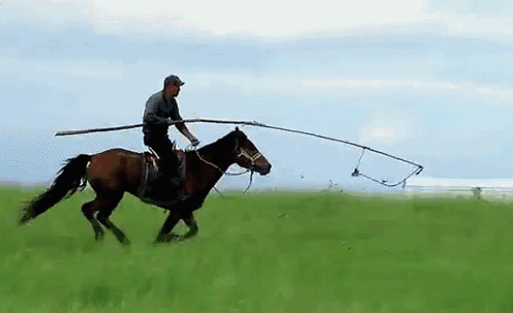 1528368718503723.gif 640 (1).gif