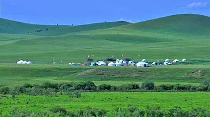 1582512610555928.jpg 草原追趕.webp.jpg