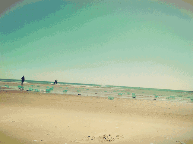 1583202365189503.gif 蟹貝灣景區(qū).gif